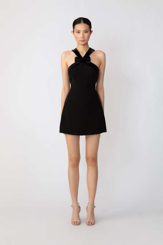 Elsie Mini Dress